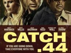The movie Catch .44 Download and my viewing experience