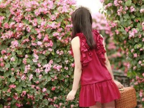 杜海燕:知来路  识归途