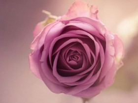 Brisk walking is the most effective campaigns