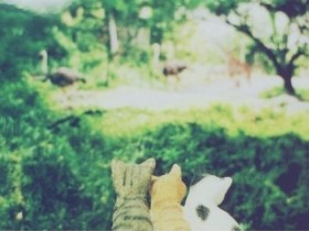 尽享网格言精选:竭忠尽孝,谓之人。治国经邦,谓之学