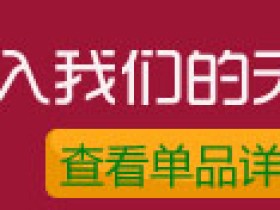 女士饰品项链 短款施华洛世奇元素水晶 屋顶上秘密 新娘配饰
