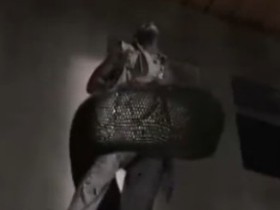 动物园黄金蟒惊魂-天下猎奇视频