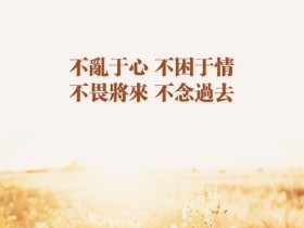 年轻人励志句子——小清新励志图片文字