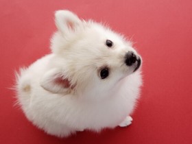 业余什么怎么过才充实?