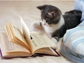 大学生暑期社会实践报告格式——大学生暑期社会实践报告怎么写