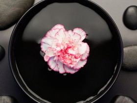 人生五字诀——平、静、忍、让、淡