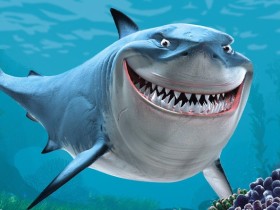 鲨鱼不为人知的另一面---懂得感恩的鲨鱼