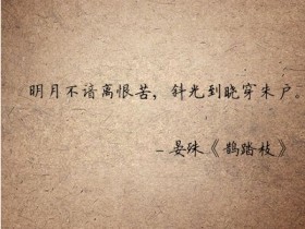 拾荒者——原创征文作品