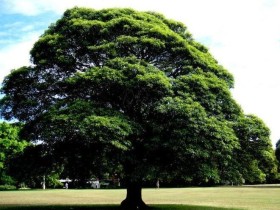 二十七八岁,我们才感觉到……