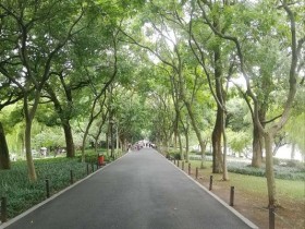 修身最有效的四个方面——曾国藩分分钟教做人