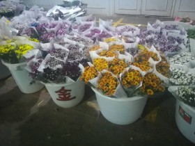 [旅游]昆明斗南花卉市场——让北方人震惊的“菜市场”