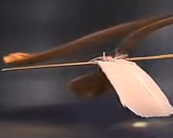 《出彩中国人》平衡羽毛原版视频——家庭主妇展现一根羽毛的平衡之美